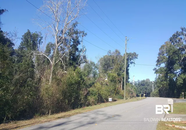 Photo 3 of Land for sale at 2062 Clubhouse Dr, Lillian, AL 36549 | MLS# 339865 | Listing updated on 2026-10-07
