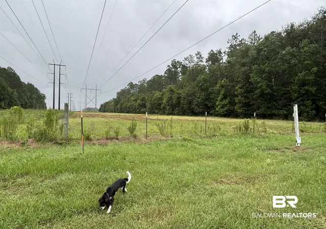 1st image of Lot 1 County Road 48, Robertsdale, AL 36567 | MLS# 399863