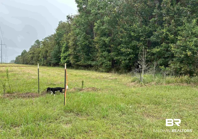 2nd image of Lot 1 County Road 48, Robertsdale, AL 36567 | MLS# 399863