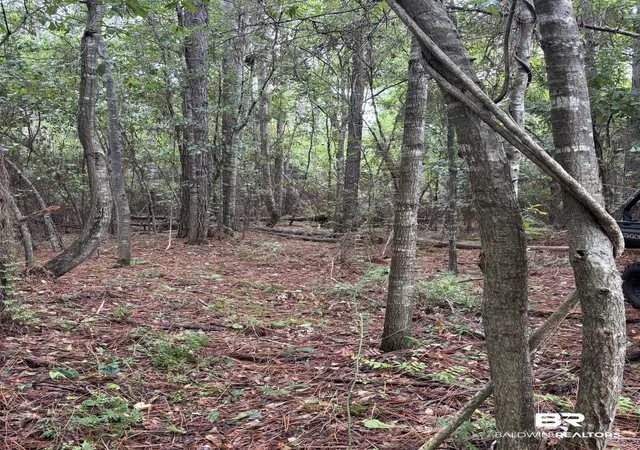 5th image of Lot 1 County Road 48, Robertsdale, AL 36567 | MLS# 399863