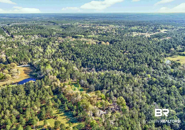 Land for sale at 0 Woodland Acres Ln, Loxley, AL 36551 | MLS# 394045
