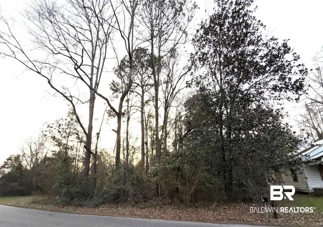 1st image of 817 Martin Luther King Dr, Brewton, AL 36426 | MLS# 392624