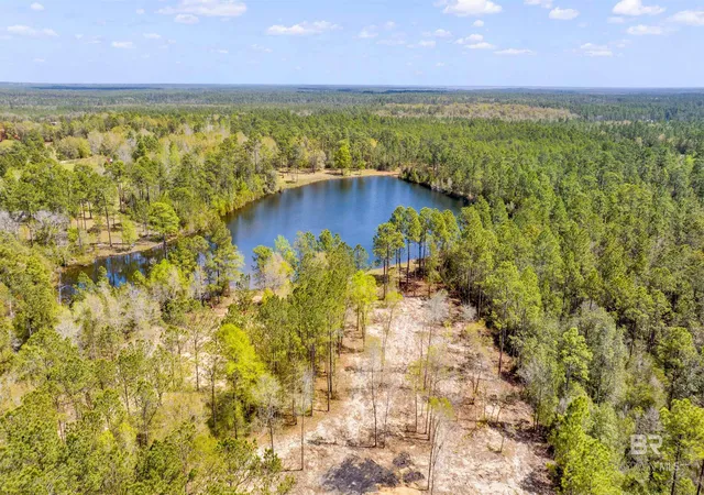 Homes for sale in Seminole, AL | 0 Red Feather Dr, Seminole, AL 36574 | MLS# 395359