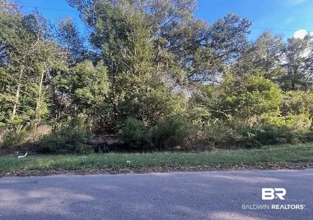 Photo 1 of Land for sale at 0 New Era Rd, Fairhope, AL 36532 | MLS# 395577 | Listing updated on 2026-10-27