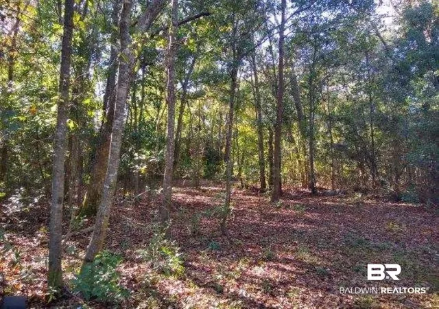 Photo 3 of Land for sale at 0 New Era Rd, Fairhope, AL 36532 | MLS# 395577 | Listing updated on 2026-10-27