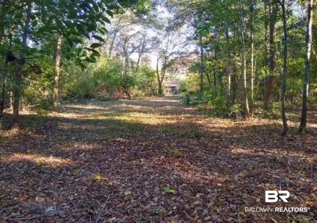 Photo 4 of Land for sale at 0 New Era Rd, Fairhope, AL 36532 | MLS# 395577 | Listing updated on 2026-10-27