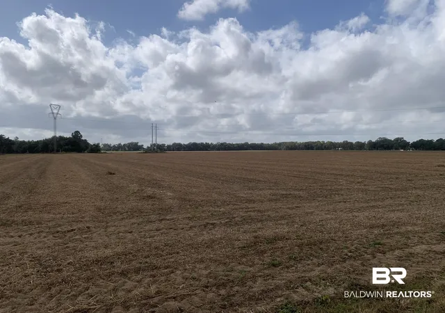 Photo 1 of Land for sale at 0 County Rd 54, Loxley, AL 36551 | MLS# 369903 | Listing updated on 2026-07-24