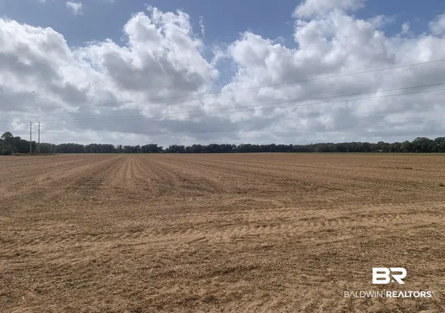 Photo 2 of Land for sale at 0 County Rd 54, Loxley, AL 36551 | MLS# 369903 | Listing updated on 2026-07-24