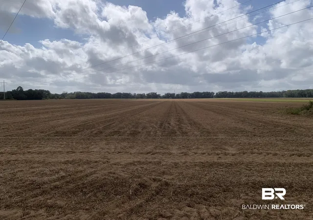 Photo 3 of Land for sale at 0 County Rd 54, Loxley, AL 36551 | MLS# 369903 | Listing updated on 2026-07-24