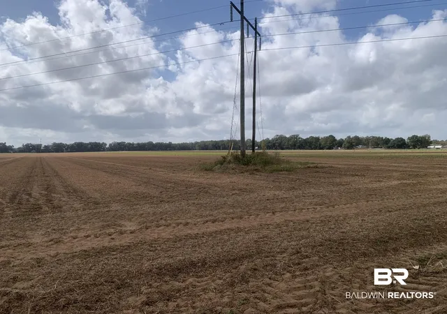Photo 3 of Land for sale at 0 County Rd 54, Loxley, AL 36551 | MLS# 369903 | Listing updated on 2026-07-24