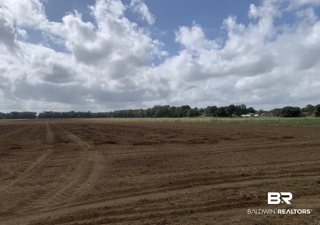 Photo 4 of Land for sale at 0 County Rd 54, Loxley, AL 36551 | MLS# 369903 | Listing updated on 2026-07-24