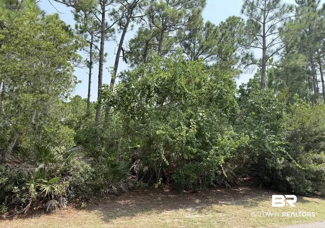 Photo 2 of Land for sale at 0 Lake Shore Dr, Gulf Shores, AL 36542 | MLS# 399991 | Listing updated on 2026-07-31