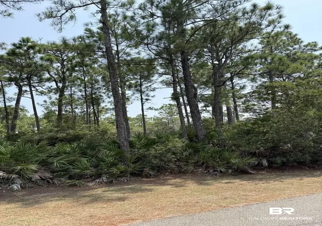 Photo 3 of Land for sale at 0 Lake Shore Dr, Gulf Shores, AL 36542 | MLS# 399991 | Listing updated on 2026-07-31