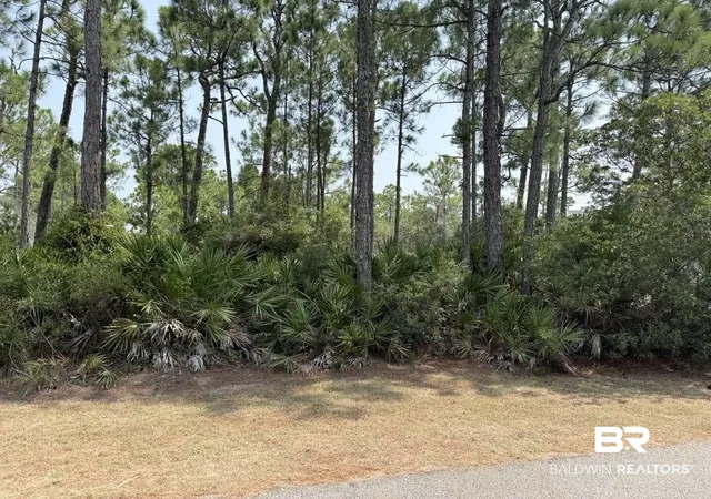 Photo 4 of Land for sale at 0 Lake Shore Dr, Gulf Shores, AL 36542 | MLS# 399991 | Listing updated on 2026-07-31