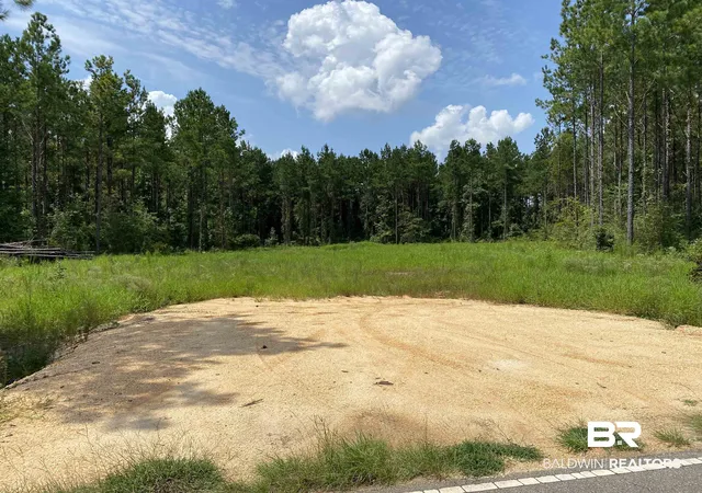 Photo 1 of Land for sale at 0 Booneville Rd, Atmore, AL 36502 | MLS# 385077 | Listing updated on 2026-08-21