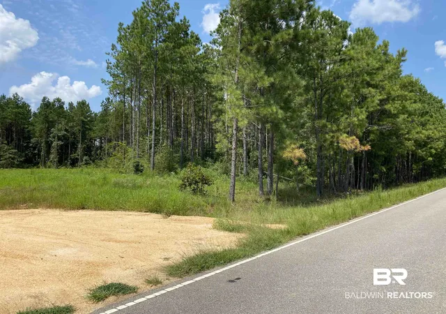 Photo 2 of Land for sale at 0 Booneville Rd, Atmore, AL 36502 | MLS# 385077 | Listing updated on 2026-08-21