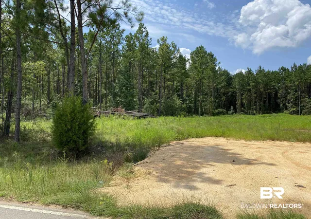 Photo 3 of Land for sale at 0 Booneville Rd, Atmore, AL 36502 | MLS# 385077 | Listing updated on 2026-09-11