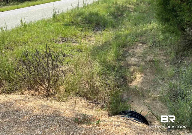 Photo 4 of Land for sale at 0 Booneville Rd, Atmore, AL 36502 | MLS# 385077 | Listing updated on 2026-08-21