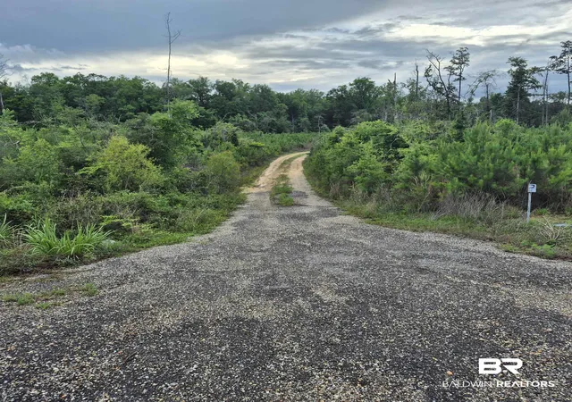 1st image of 0 County Rd 35, Evergreen, AL 36401 | MLS# 397054