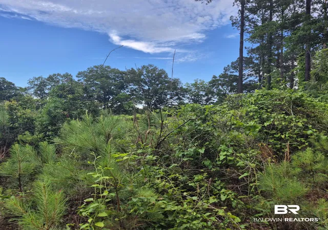 2nd image of 0 County Rd 35, Evergreen, AL 36401 | MLS# 397054