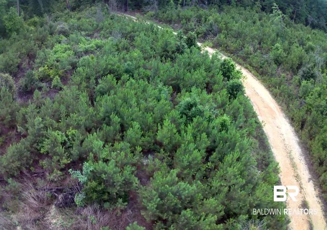 3rd image of 0 County Rd 35, Evergreen, AL 36401 | MLS# 397054