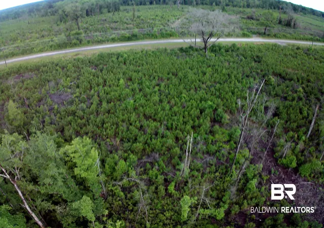 4th image of 0 County Rd 35, Evergreen, AL 36401 | MLS# 397054