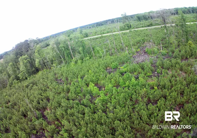 5th image of 0 County Rd 35, Evergreen, AL 36401 | MLS# 397054