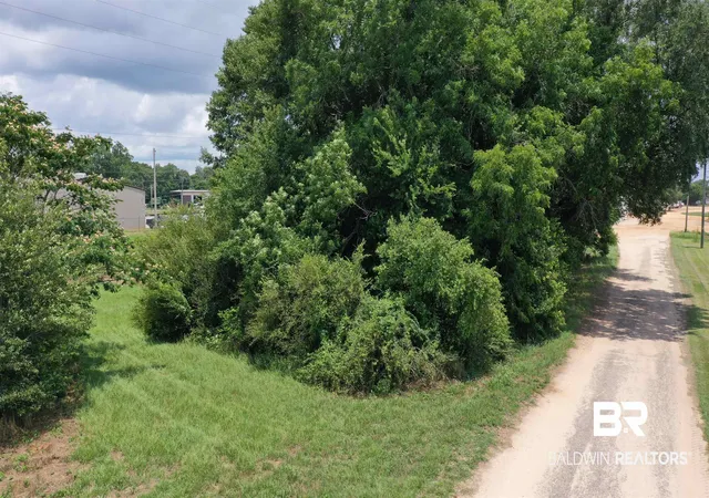 Photo 4 of Land for sale at 0 Commerce St, Frisco City, AL 36445 | MLS# 363341 | Listing updated on 2026-09-03