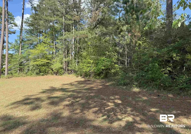 2nd image of 0 Juniper Creek Dr, Brewton, AL 36426 | MLS# 394894