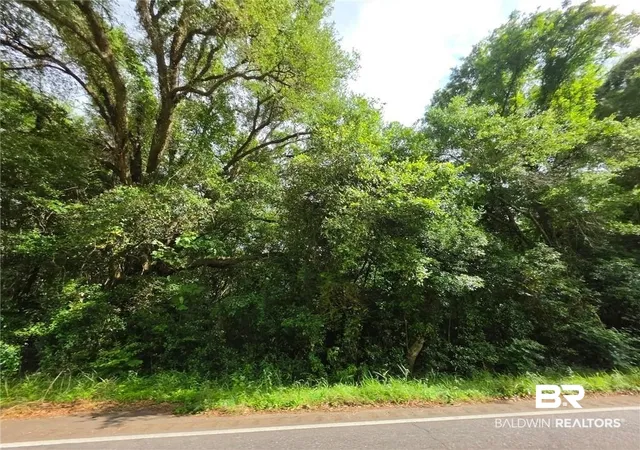 Photo 2 of Land for sale at 7221 Howells Fry Rd, Mobile, AL 36618 | MLS# 397603 | Listing updated on 2026-08-05