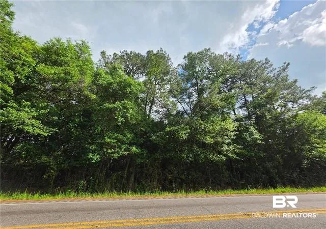 Photo 3 of Land for sale at 7221 Howells Fry Rd, Mobile, AL 36618 | MLS# 397603 | Listing updated on 2026-08-05