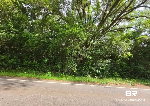 Photo 4 of Land for sale at 7221 Howells Fry Rd, Mobile, AL 36618 | MLS# 397603 | Listing updated on 2026-08-05