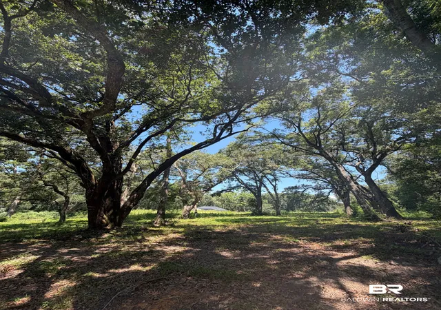 Photo 2 of Sale Pending at 0 Fairland Ave, Fairhope, AL 36532 | MLS# 406632 | Listing updated on 2026-08-31
