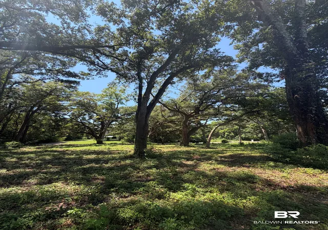 Photo 6 of Sale Pending at 0 Fairland Ave, Fairhope, AL 36532 | MLS# 406632 | Listing updated on 2026-08-31