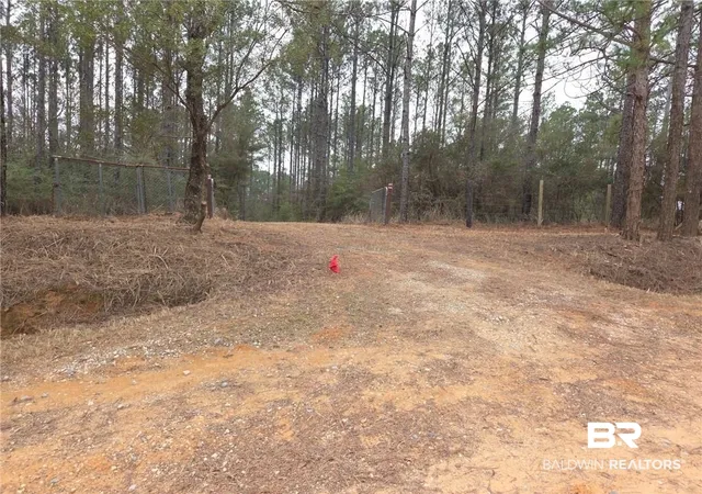 1st image of 0 Chunchula Landfill Rd, Chunchula, AL 36521 | MLS# 391898