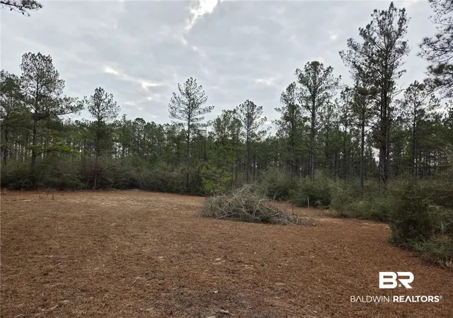 3rd image of 0 Chunchula Landfill Rd, Chunchula, AL 36521 | MLS# 391898