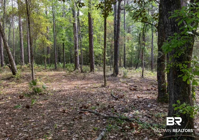 Photo 3 of Land for sale at 0 Cedar Tr, Theodore, AL 36582 | MLS# 398240 | Listing updated on 2026-07-28