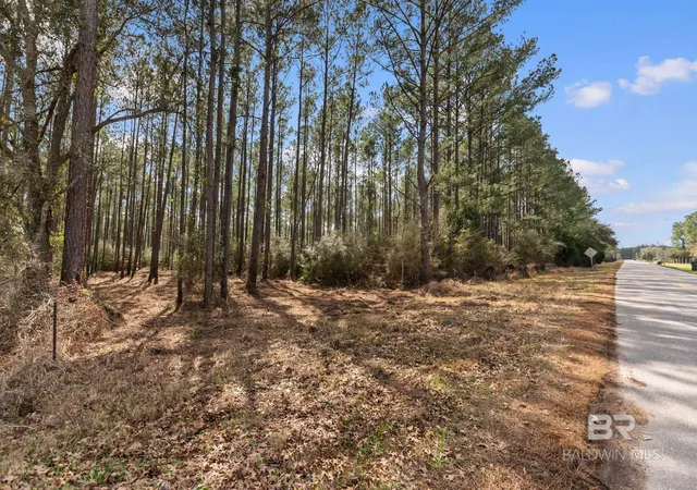 Homes for sale in Seminole, AL | Lot #1  0 Bermuda Lane, Seminole, AL 36574 | MLS# 392802