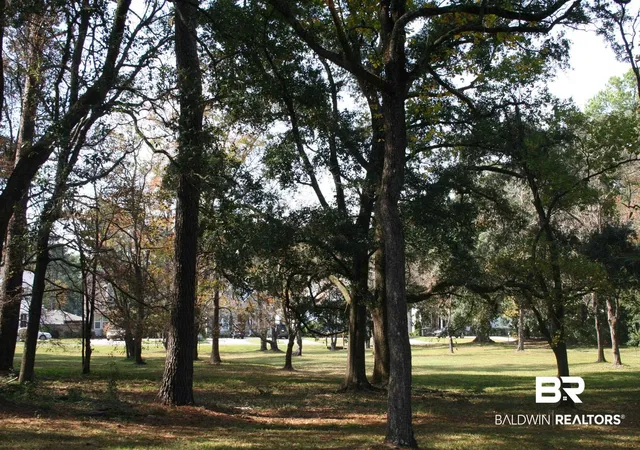 Photo 2 of Land for sale at 313 Greeno Rd, Fairhope, AL 36532 | MLS# 388330 | Listing updated on 2026-07-28