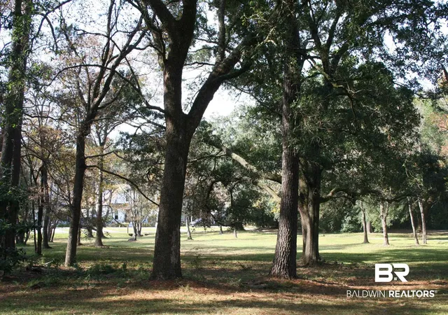 Photo 3 of Land for sale at 313 Greeno Rd, Fairhope, AL 36532 | MLS# 388330 | Listing updated on 2026-07-28