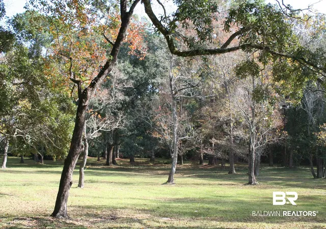 Photo 4 of Land for sale at 313 Greeno Rd, Fairhope, AL 36532 | MLS# 388330 | Listing updated on 2026-07-28