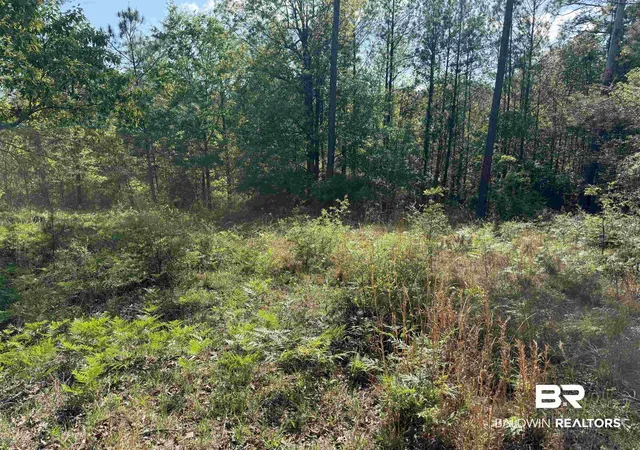 2nd image of 0 Windsor Ct, Brewton, AL 36426 | MLS# 394876