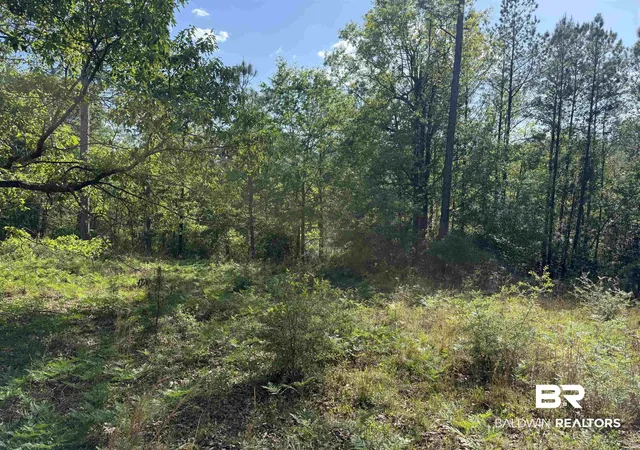 Photo 3 of Land for sale at 0 Windsor Ct, Brewton, AL 36426 | MLS# 394876 | Listing updated on 2026-07-24