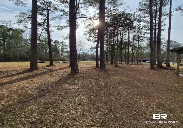 37th image of 491 Forrest Avenue, Castleberry, AL 36432 | MLS# 399973