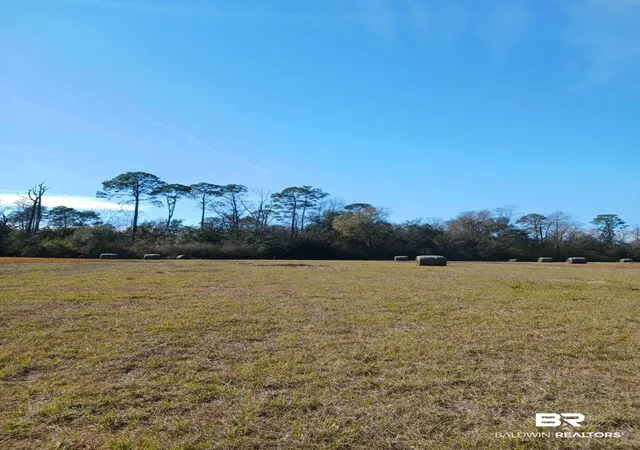 Photo 2 of Land for sale at 23486 County Rd 36, Summerdale, AL 36580 | MLS# 382495 | Listing updated on 2026-08-21