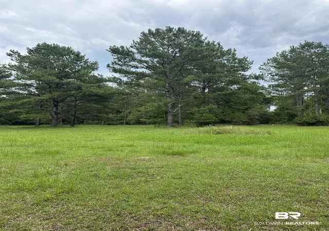 Photo 1 of Land for sale at 40140 Dogwood Frk Rd, Bay Minette, AL 36507 | MLS# 397774 | Listing updated on 2026-08-15