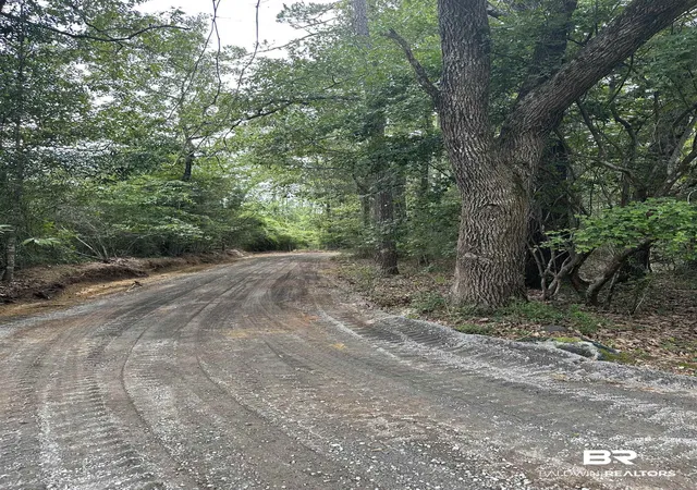 Photo 3 of Land for sale at 40140 Dogwood Frk Rd, Bay Minette, AL 36507 | MLS# 397774 | Listing updated on 2026-08-15