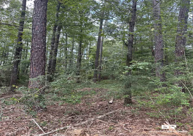 Photo 4 of Land for sale at 40140 Dogwood Frk Rd, Bay Minette, AL 36507 | MLS# 397774 | Listing updated on 2026-08-15