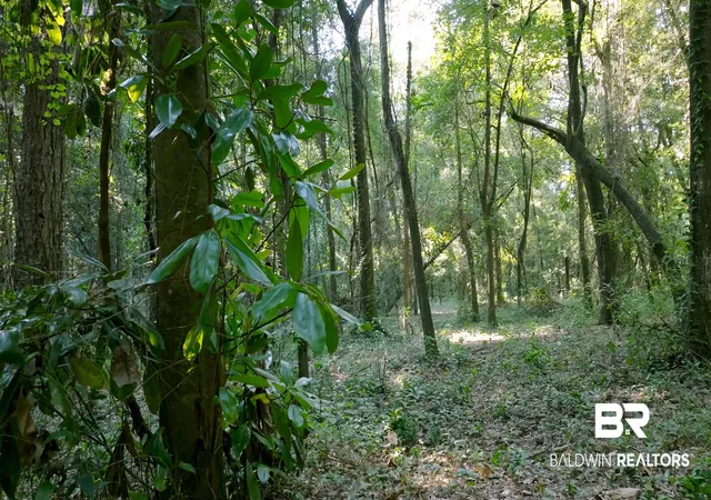 Photo 4 of Land for sale at 0 Old County Rd, Daphne, AL 36526 | MLS# 387655 | Listing updated on 2026-09-23