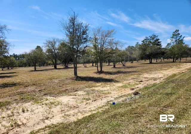 Photo 3 of Land for sale at 0 Strasbourg Ln, Elberta, AL 36560 | MLS# 398687 | Listing updated on 2026-08-03